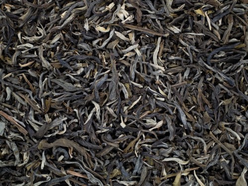 FUJIAN-WHITE-CHINY-BIA.jpg
