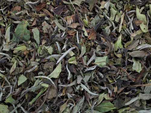 PAI-MU-TAN-CHINY-BIA.jpg