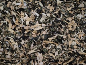 CUKRZYCA BABCI JADZI