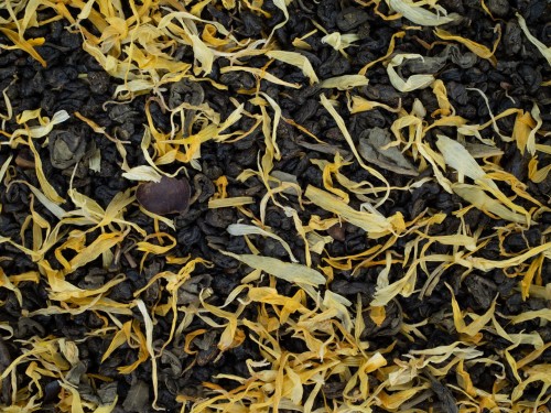 GUARANA-ZZD.jpg